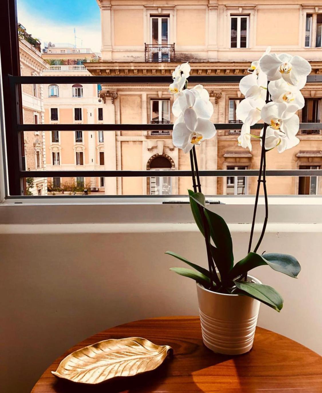 900 Piazza Del Popolo Bed & Breakfast Rome Luaran gambar